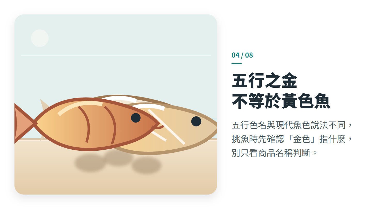 五行之金 不等於黃色魚
