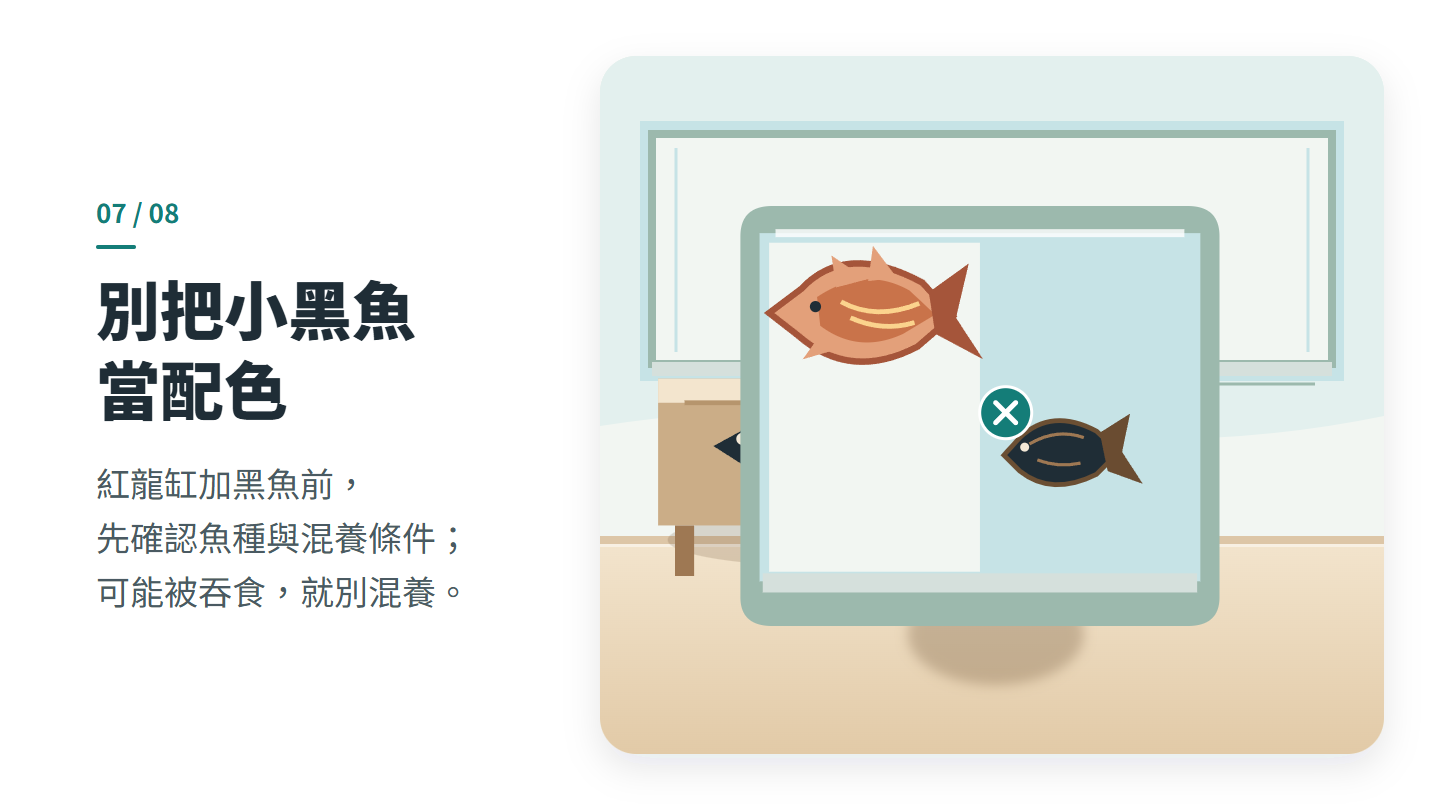 別把小黑魚 當配色
