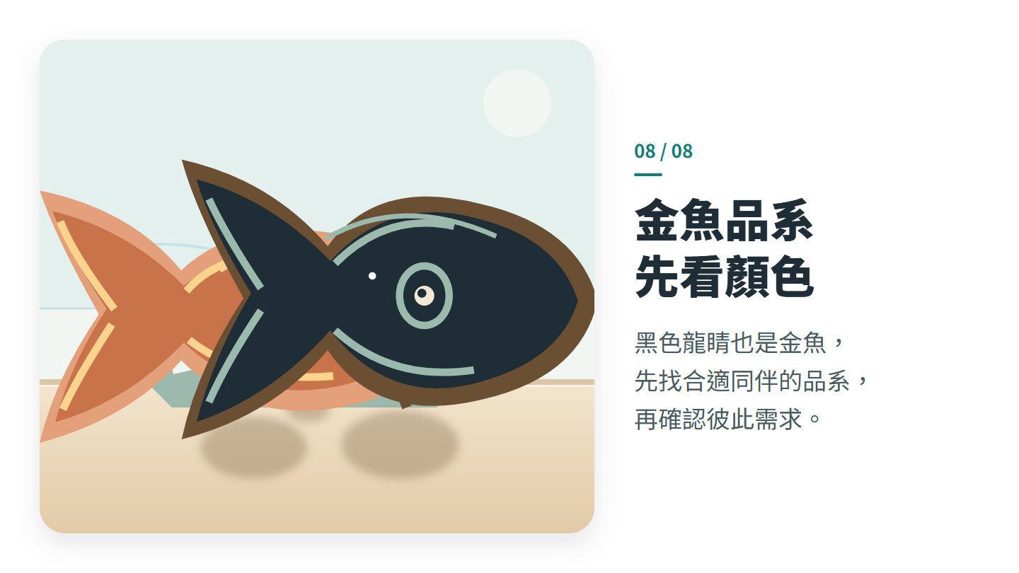 金魚品系 先看顏色